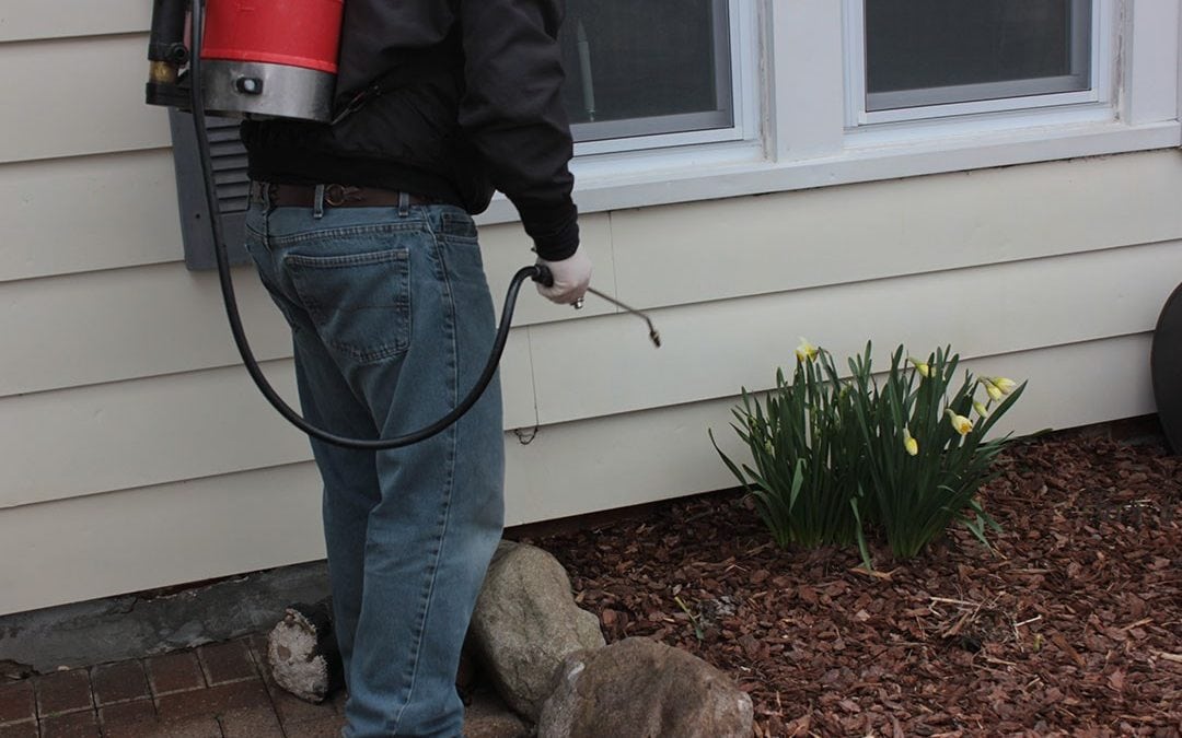 Benefits of exterior pest control around your home