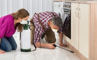 How Safe Are Indoor Pest Control Sprays?