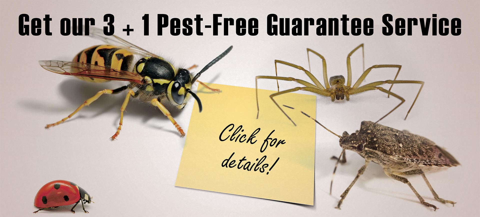 pest free guarantee service lenawee county michigan